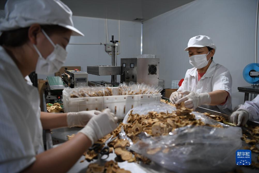 网上游戏打鱼
